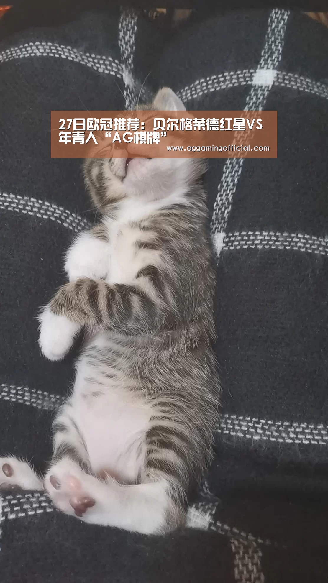 AG入口