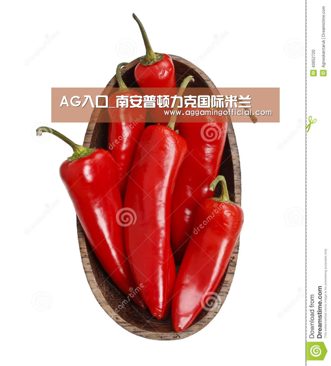 AG入口_南安普顿力克国际米兰(图4)