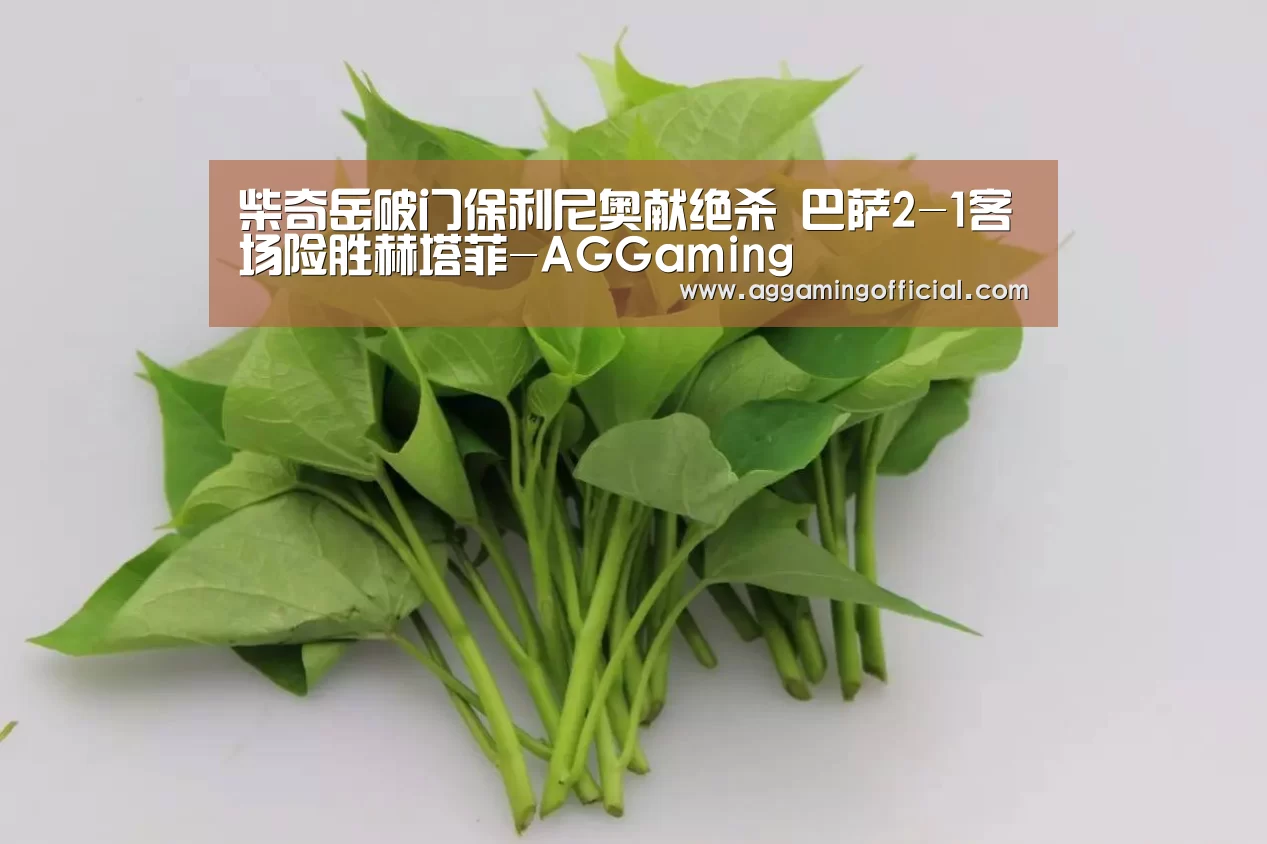 AG电子