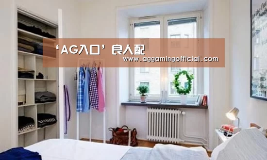 AG电子